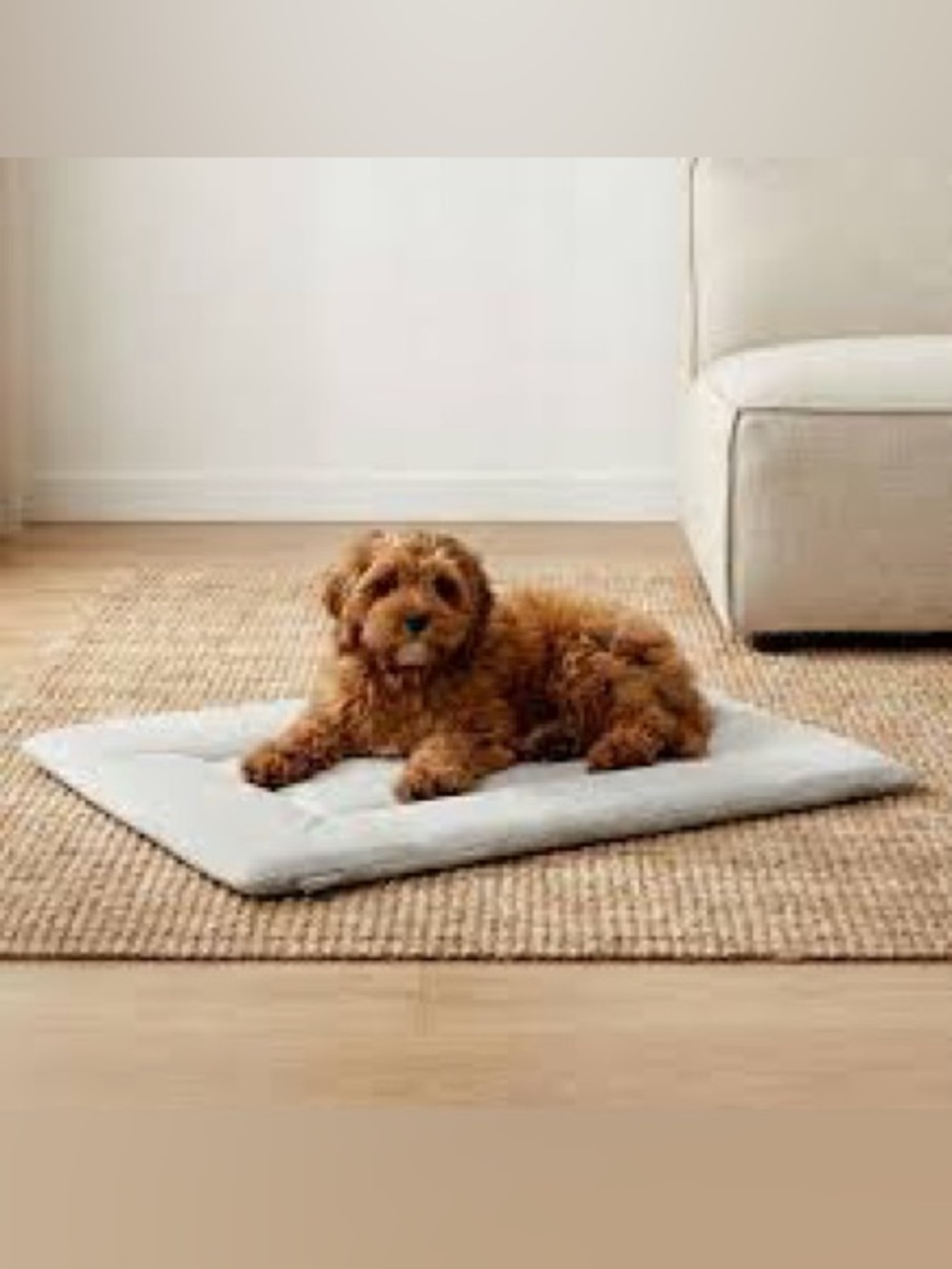 KindTail PAWD Dog Crate Pad Soft Reversible Sleeping 20” x 15.5” x 1” Soft Gray